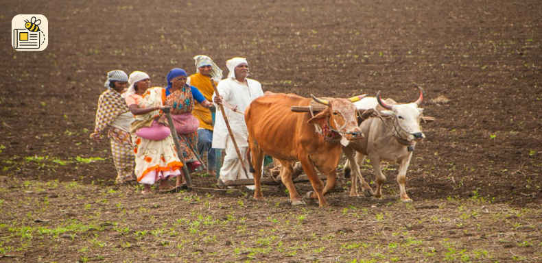 રાષ્ટ્રીય ખેડૂત દિન